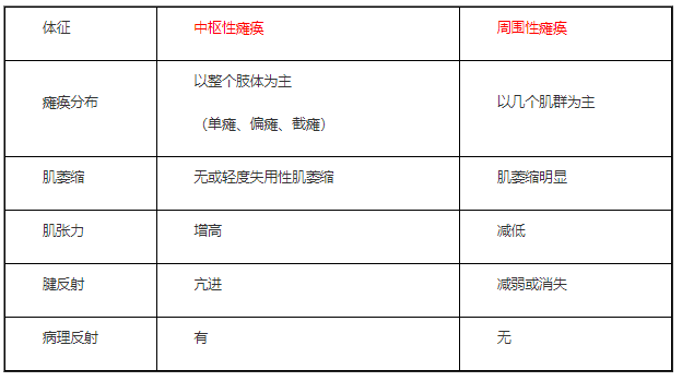 2022临床助理医师二试/延考知识点总结|中枢性瘫痪与周围性瘫痪对比.png